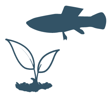 blue fish with plant icon