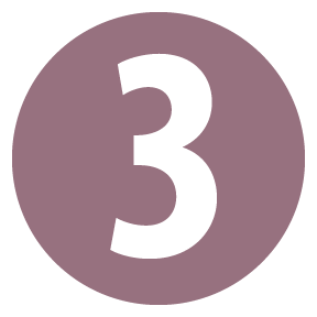 plum number three icon