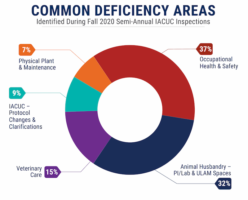 Graph showing common deficiency areas identified during Fall 2020 semi-annual facility inspections