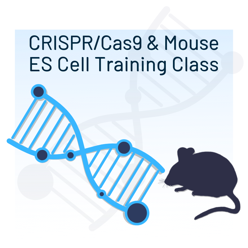 Mouse and DNA strand icons highlighting CRISPR/Cas9 Training Class