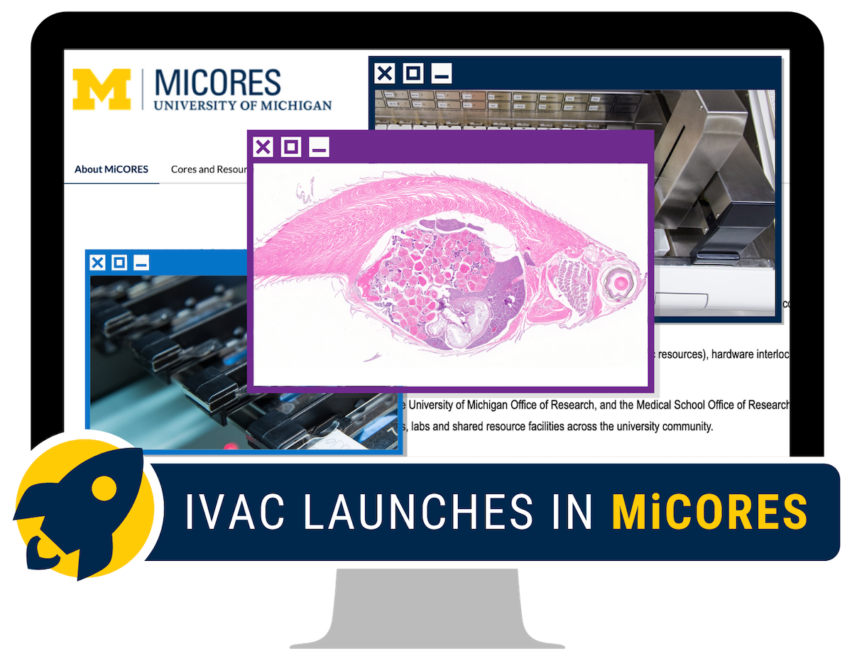 Computer screen with MiCORES login page and microscopic image of zebrafish taken by IVAC