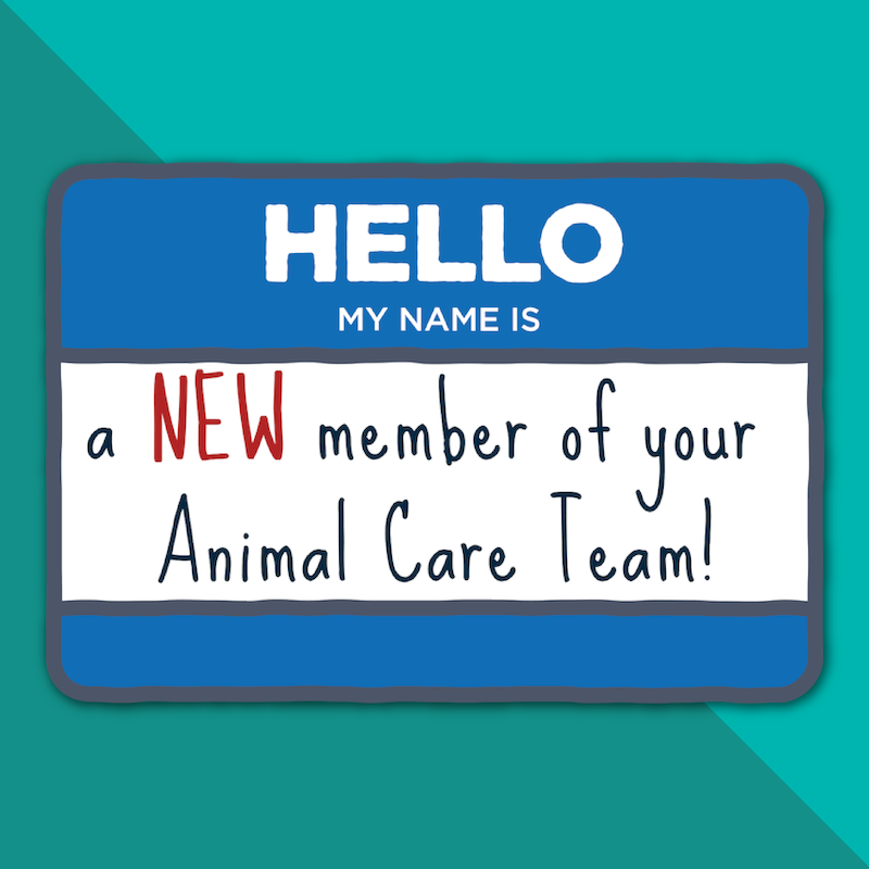 Name tag icon that says My Name is a New Member of Your Animal Care Team