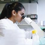 Researcher looks through microscope to explore tissue regeneration