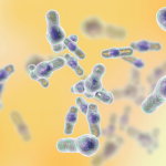 Computer illustration of Clostridioides difficile bacteria