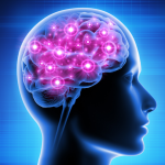 Pink and blue illustration of human brain activity