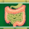 Illustration of green background with intestines in pink