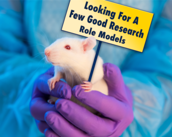 Rat photo with Looking for a Few Good Research Role Models sign