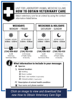 Screenshot of new How to Obtain Veterinary Care sign with caption that reads click to download