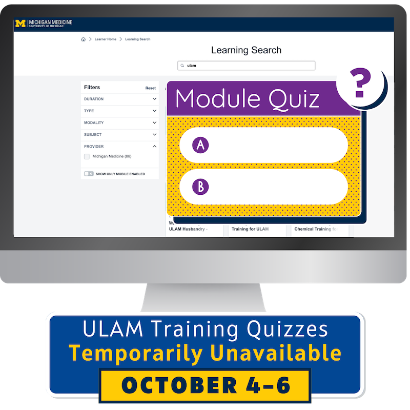 Computer screen with Cornerstone Learning Quiz Module and dates for temporary quiz unavailability