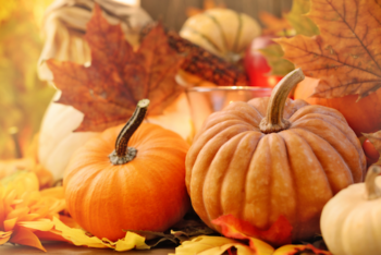 Fall harvest pumpkin and leaves