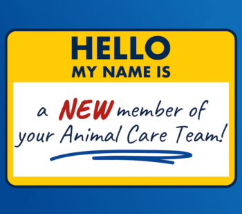 Name tag icon that says "My Name is a New Member of Your Animal Care Team"
