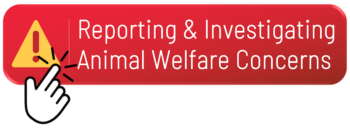 Red Reporting & Investigating Animal Welfare Concerns button with cursor