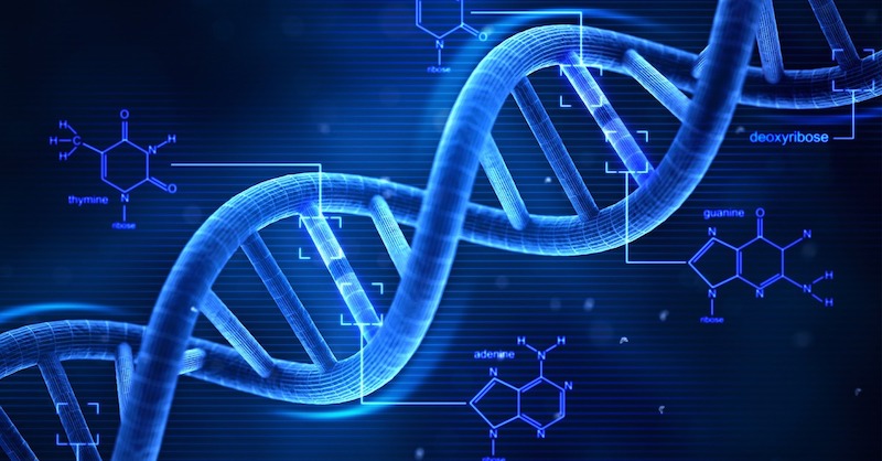 Blue DNA strand