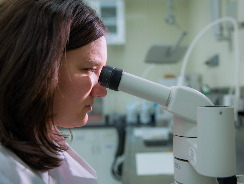 Female researcher looks into microscope in laboratory