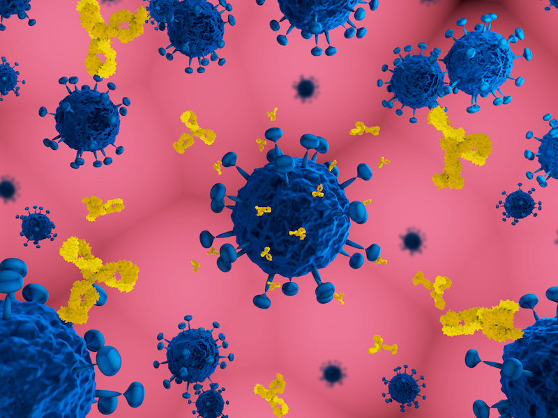 3D render of antibodies attacking virus. Photo credit: Meletios Verras