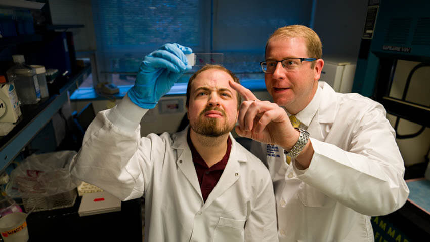 Two U-M researchers look at slide in lab studying glioblastoma