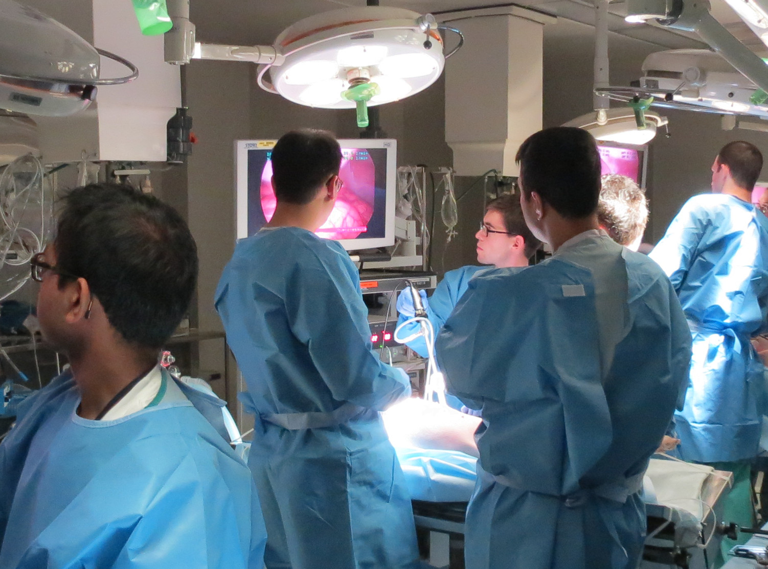 Animal Surgery Operating Rooms Animal Care & Use Program