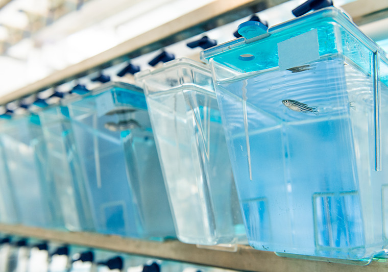 Inspections Animal Care & Use Program