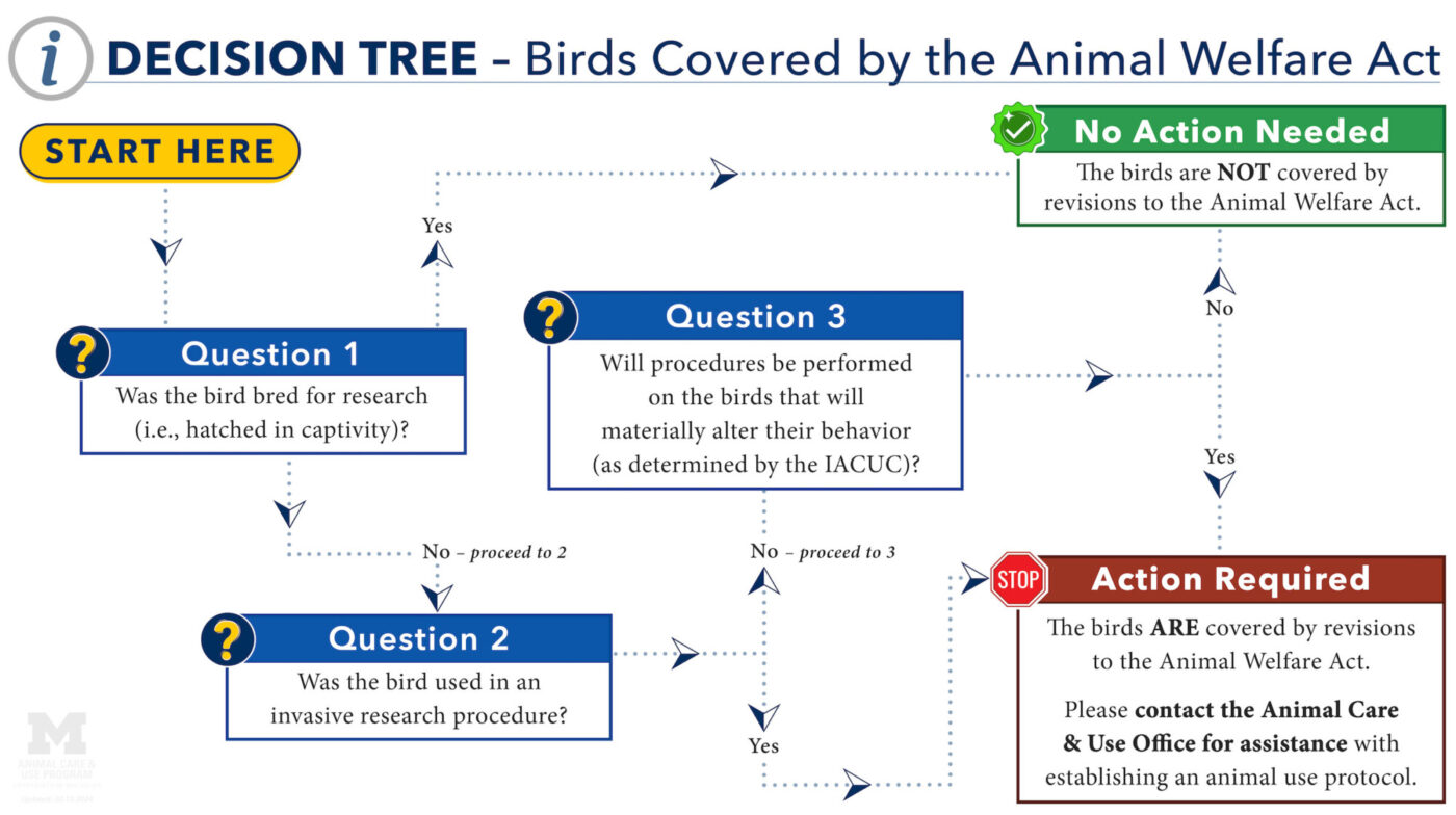 Decision tree illustrating how to determine which studies involving birds are now covered by the Animal Welfare Act