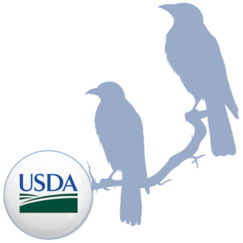 Icon of birds sitting on a branch with USDA logo