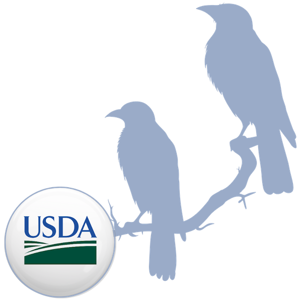 Silhouette of birds on tree branch with USDA logo