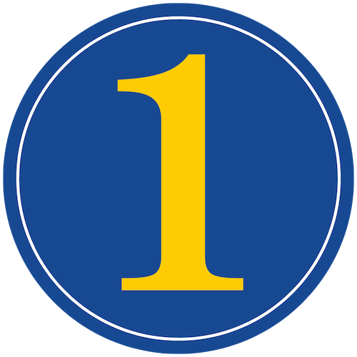Number 1 circle icon
