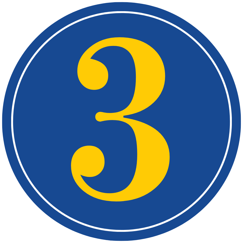 Number 3 circle icon