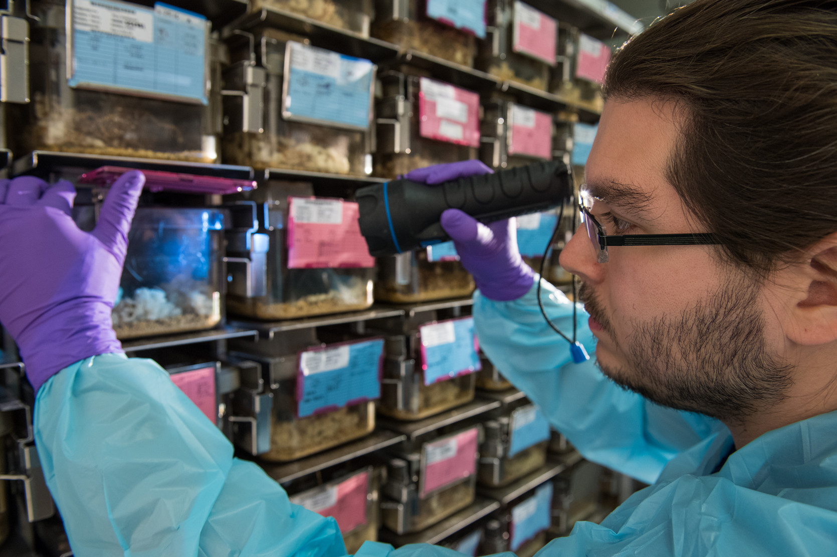 Animal Husbandry & Housing Animal Care & Use Program