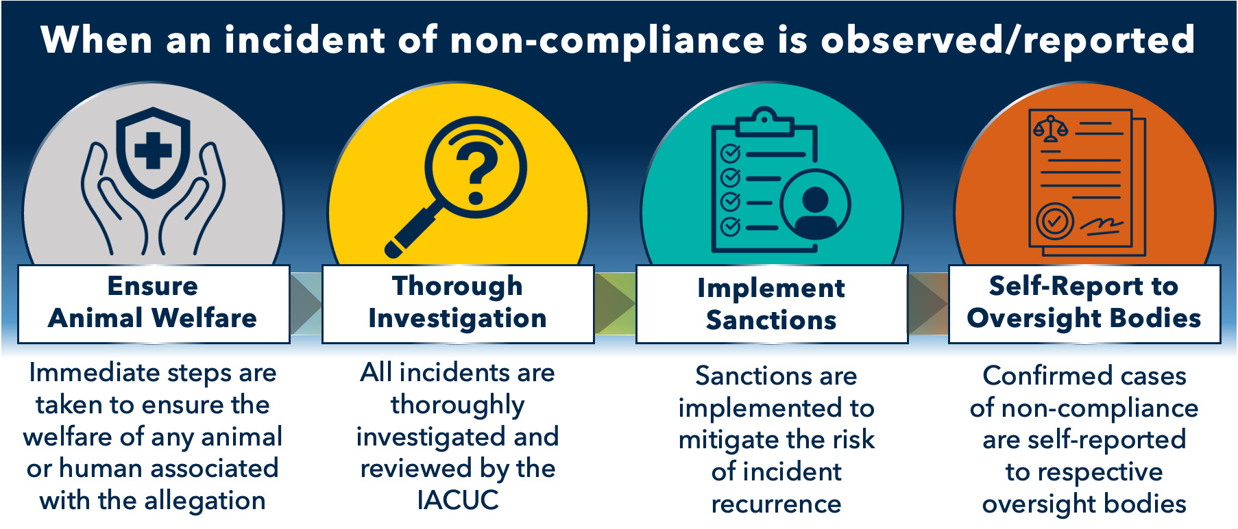 Infographic outlining how the U-M handles an incident of non-compliance