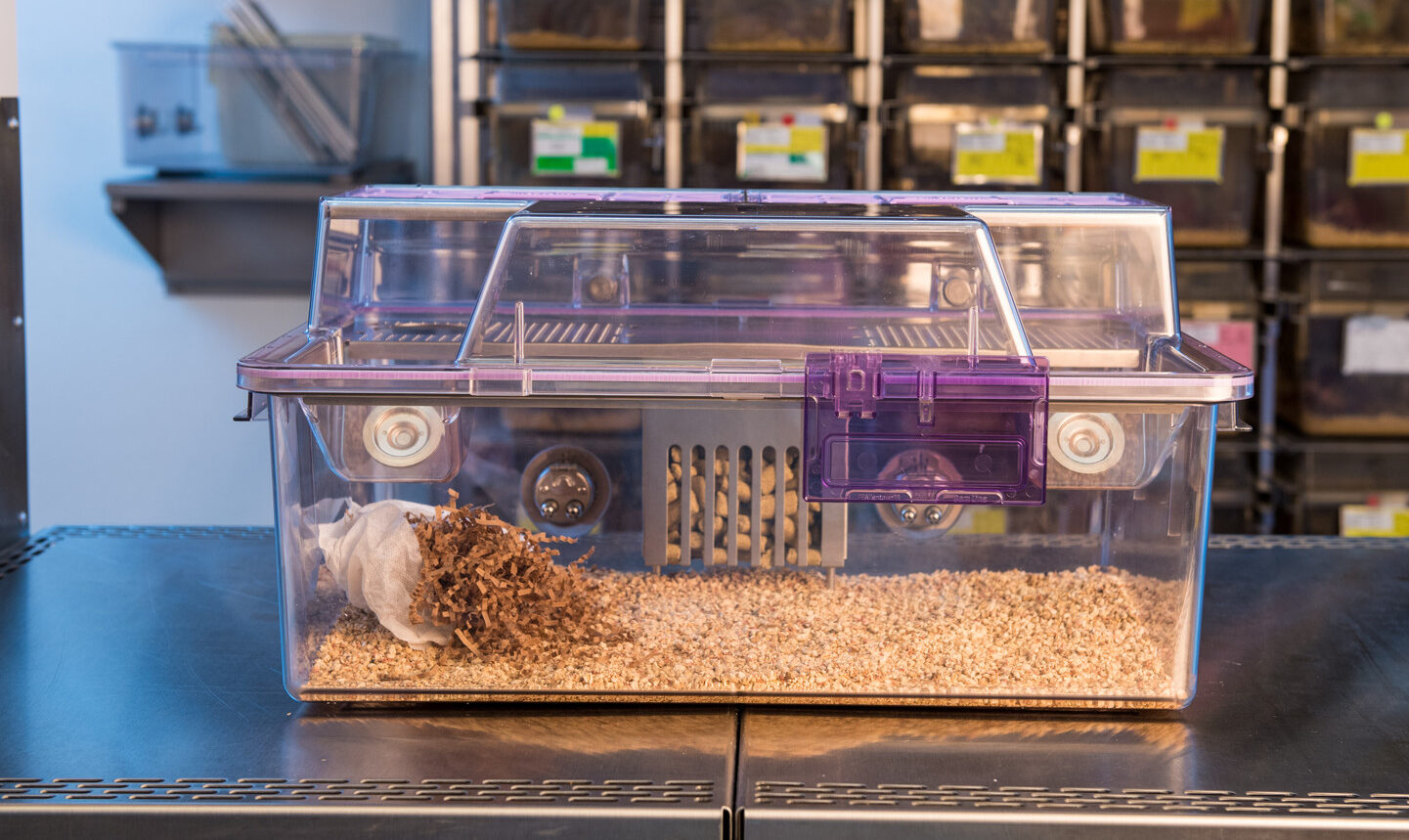 Transporting Animals Animal Care & Use Program