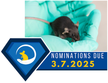 Laboratory technician holding small black mouse with deadline for 2024-2025 Excellence in Research Animal Care & Use Awards Program nominations