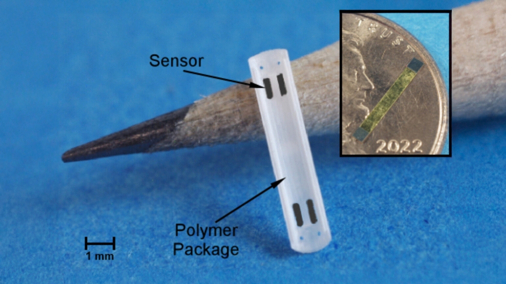 The magnetoelastic sensor encapsulated in the 3D printed polymer structure. The inset shows the standalone sensor on a penny for scale. Image credit: Nambisan et al., 2024