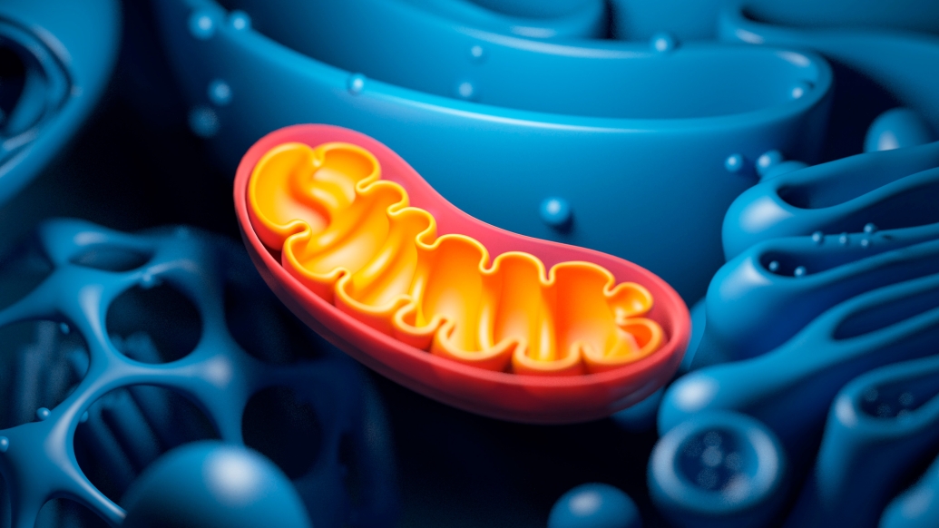 Illustration of microscopic orange cell in blue cells