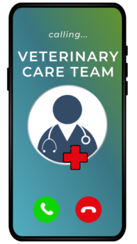 Phone icon calling veterinary care team