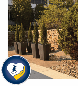 Picture of the new Compassion Reflection Garden with Compassion Awareness Project logo