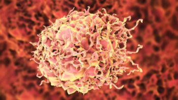 Microscopic rendering of a colon cancer cell