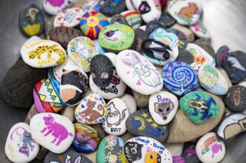 Hand-painted rocks created by members of the U-M animal care and use community.
