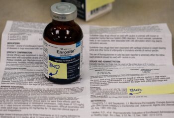 Enrosite vial and packaging labeled with Beyond Use Date