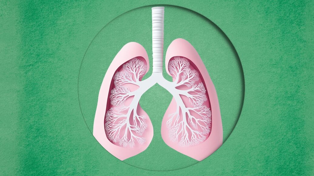 Illustration of lungs on green background