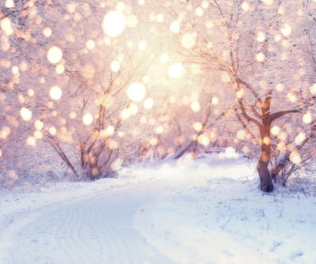 winter scenery
