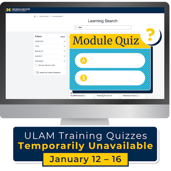 Computer screen with Cornerstone Learning Quiz Module and dates for temporary quiz unavailability