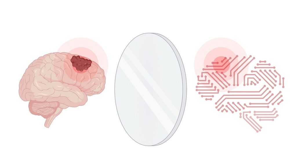 The illustration depicts a brain with a glioma and its digital twin
