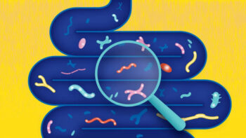 Illustration of microbes inside gut
