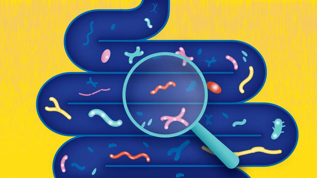 Illustration of microbes inside gut